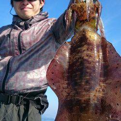 シースナイパー海龍 釣果