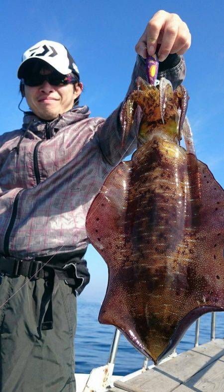 シースナイパー海龍 釣果