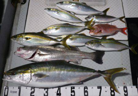 オーシャンスター(Ocean Star) …