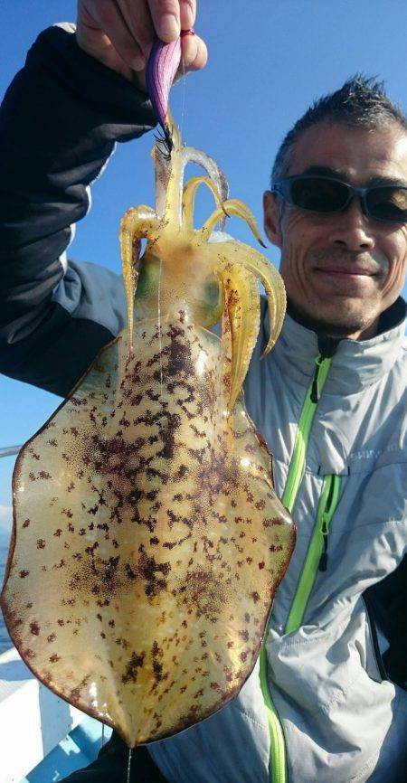 シースナイパー海龍 釣果