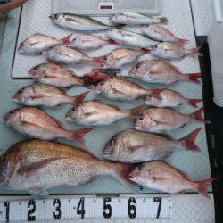 オーシャンスター(Ocean Star) 釣果