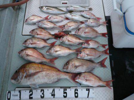 オーシャンスター(Ocean Star) …