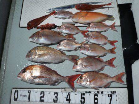 オーシャンスター(Ocean Star) …