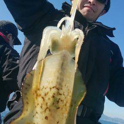 シースナイパー海龍 釣果