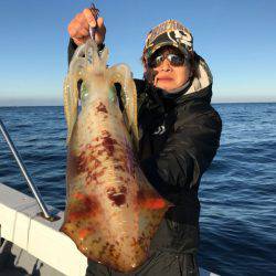 South Current 釣果