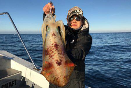 South Current 釣果