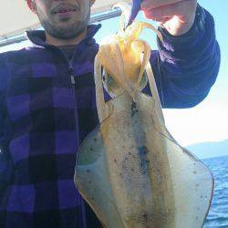 シースナイパー海龍 釣果