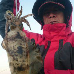 シースナイパー海龍 釣果