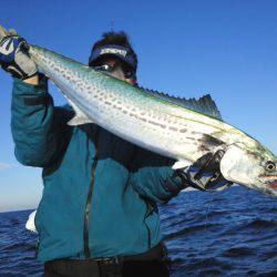 ひな丸 釣果