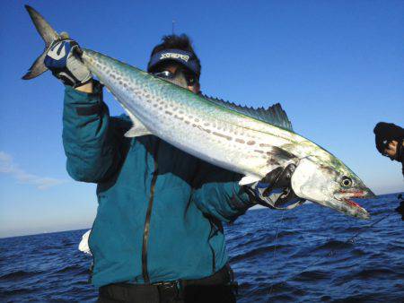 ひな丸 釣果