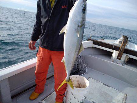 ひな丸 釣果