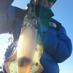 シースナイパー海龍 釣果