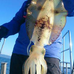 シースナイパー海龍 釣果