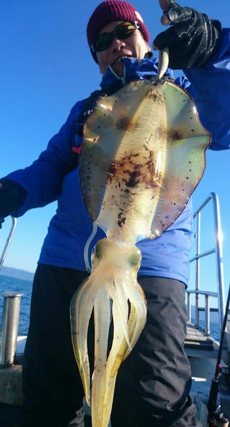 シースナイパー海龍 釣果