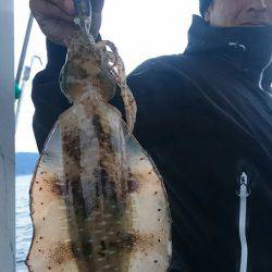 シースナイパー海龍 釣果