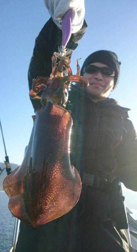 シースナイパー海龍 釣果