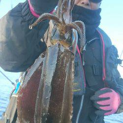 シースナイパー海龍 釣果