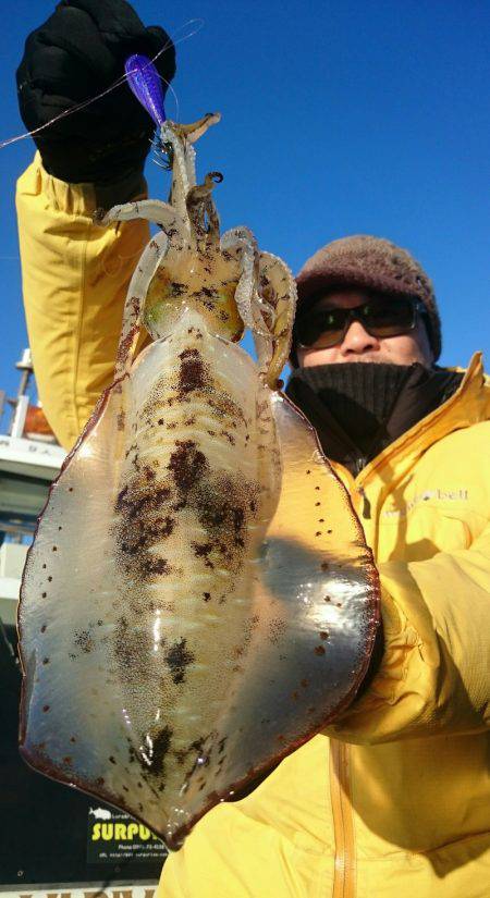 シースナイパー海龍 釣果