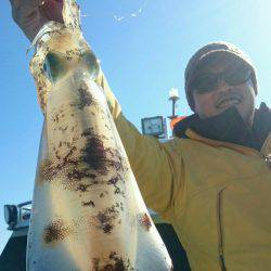 シースナイパー海龍 釣果