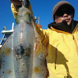 シースナイパー海龍 釣果
