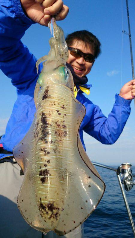 シースナイパー海龍 釣果