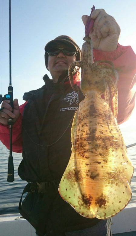 シースナイパー海龍 釣果