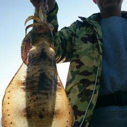 シースナイパー海龍 釣果