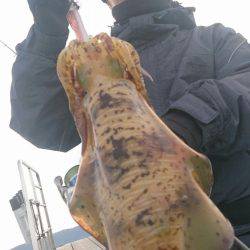 シースナイパー海龍 釣果