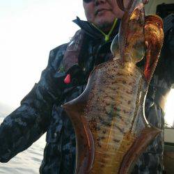 シースナイパー海龍 釣果