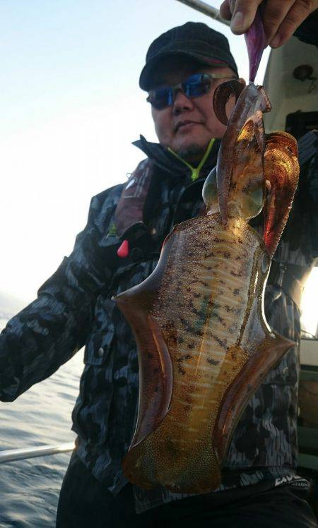 シースナイパー海龍 釣果