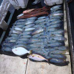 第八 源洋丸 釣果