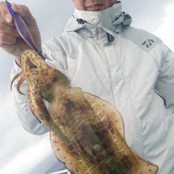 シースナイパー海龍 釣果