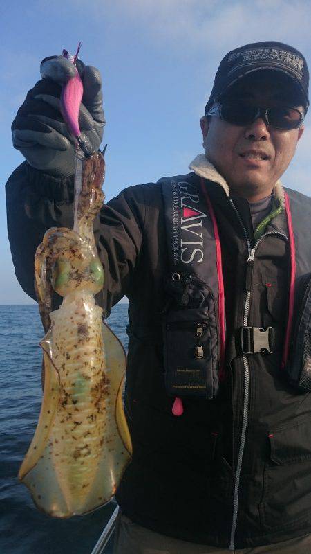 シースナイパー海龍 釣果