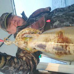 シースナイパー海龍 釣果