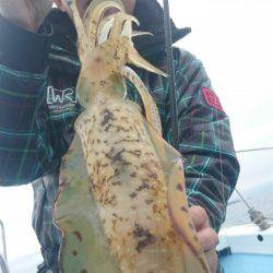 シースナイパー海龍 釣果