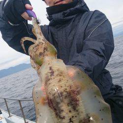 シースナイパー海龍 釣果