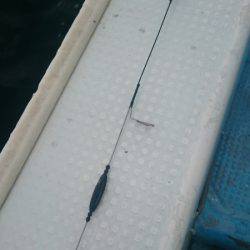 シースナイパー海龍 釣果