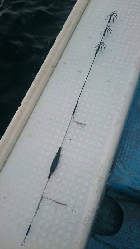 シースナイパー海龍 釣果