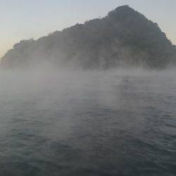 シースナイパー海龍 釣果