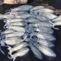 第八 源洋丸 釣果