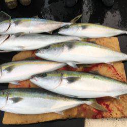 第八 源洋丸 釣果