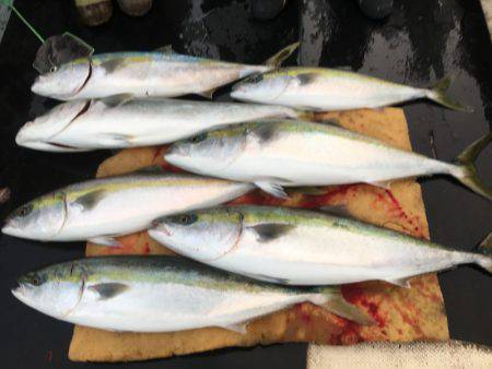 第八 源洋丸 釣果