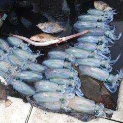 第八 源洋丸 釣果