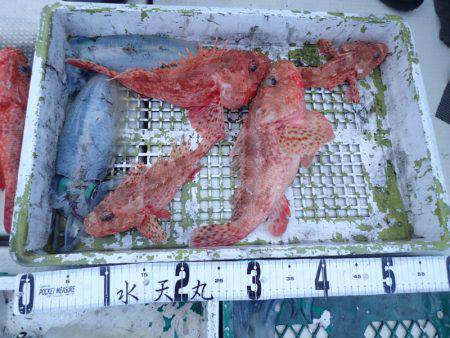 水天丸 釣果