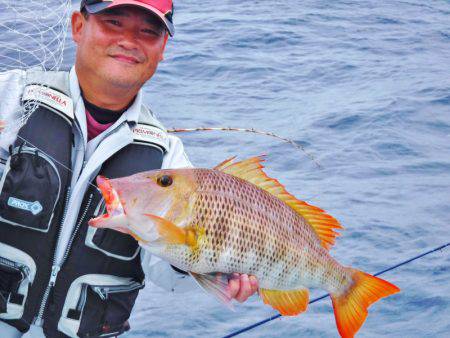 ＫＹＯＥＩⅢ 釣果