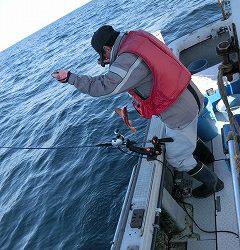 第二清洋丸 釣果