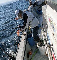 第二清洋丸 釣果