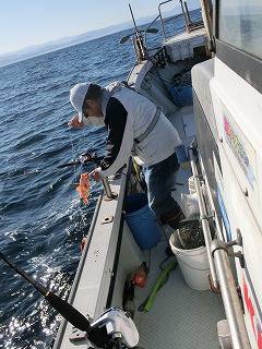 第二清洋丸 釣果