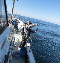 第二清洋丸 釣果