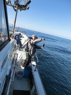 第二清洋丸 釣果